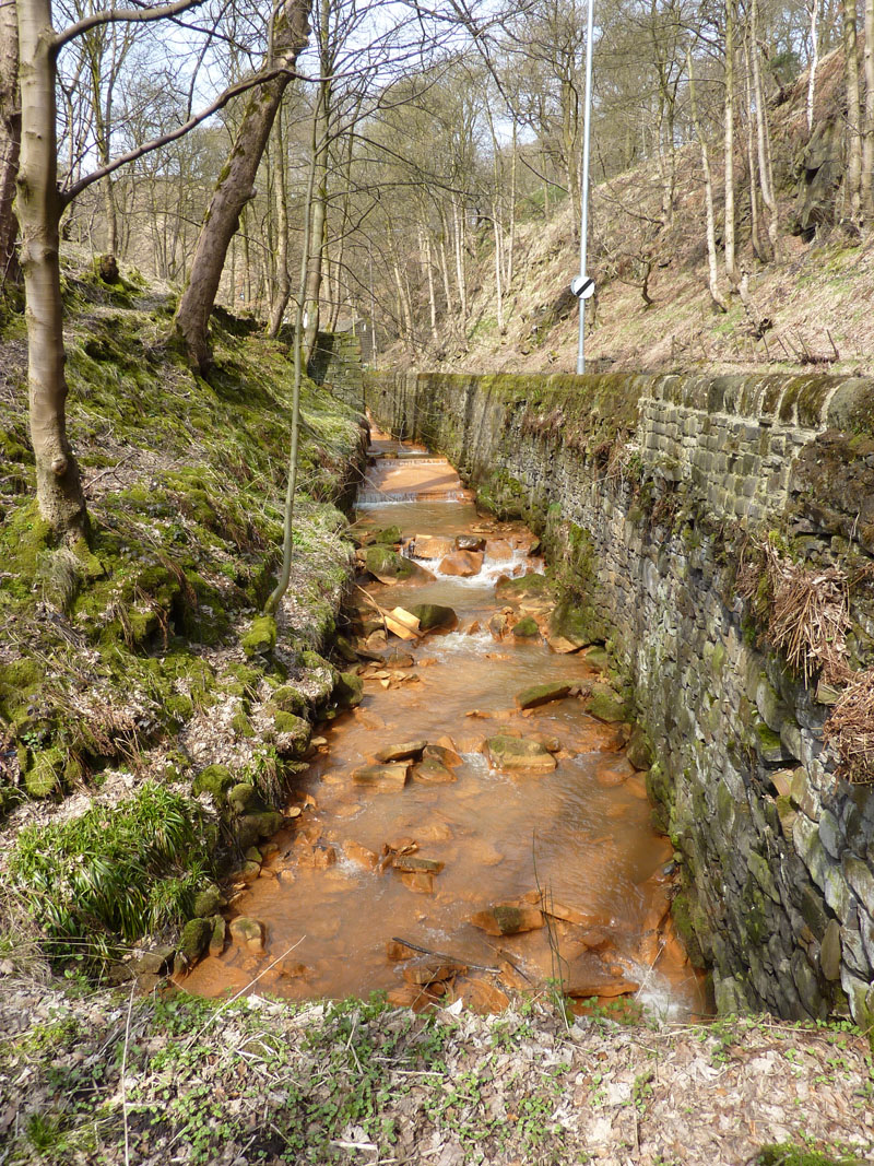 Midgeldon Brook